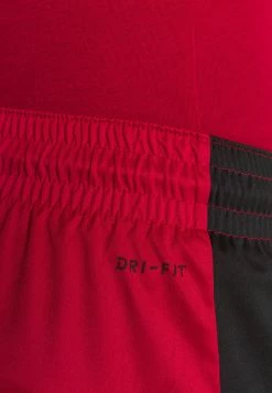 Jordan Meilleure qualité AIR DRY SHORT - Short de sport vêtements basket-ball homme 17 Jordan Meilleure qualité AIR DRY SHORT - Short de sport vêtements basket-ball homme -Jordan Soldes Boutique 3fa5e13f7ca8460d935b35c378cae9f9